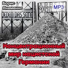 Курс лекций &quot;Концентрационный мир нацистской Германии&quot; - Борис Якеменко