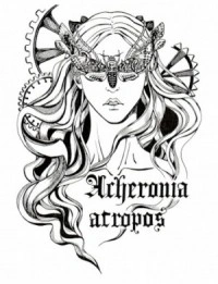 Подъёмная сила - Анна Дербенева