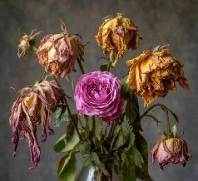 Их на могилу стыдно положить - Артур Алехин, Андрей Туркин