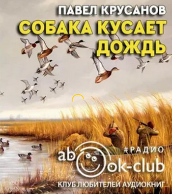 Собака кусает дождь - Павел Крусанов